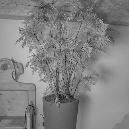 Bed En Box 3610 Bed & Breakfast 4*