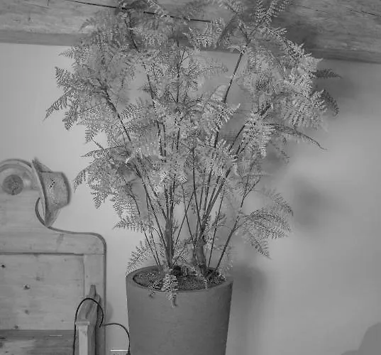 Bed En Box 3610 Frühstückspension 4*