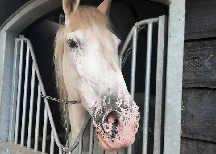 Frühstückspension Bed En Box 3610