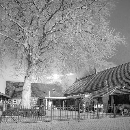 Bed En Box 3610 Bed and Breakfast 4*