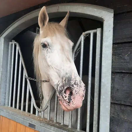 Bed and Breakfast Bed En Box 3610