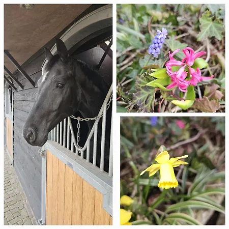 Bed En Box 3610 Bed and Breakfast 4*