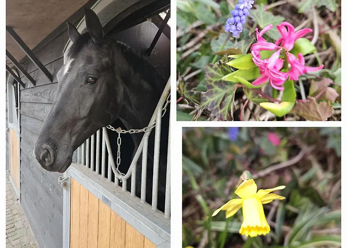 Bed En Box 3610 Bed and Breakfast 4*